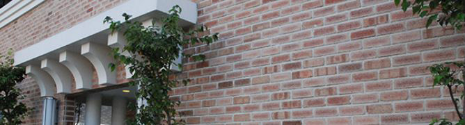 管理実績イメージ